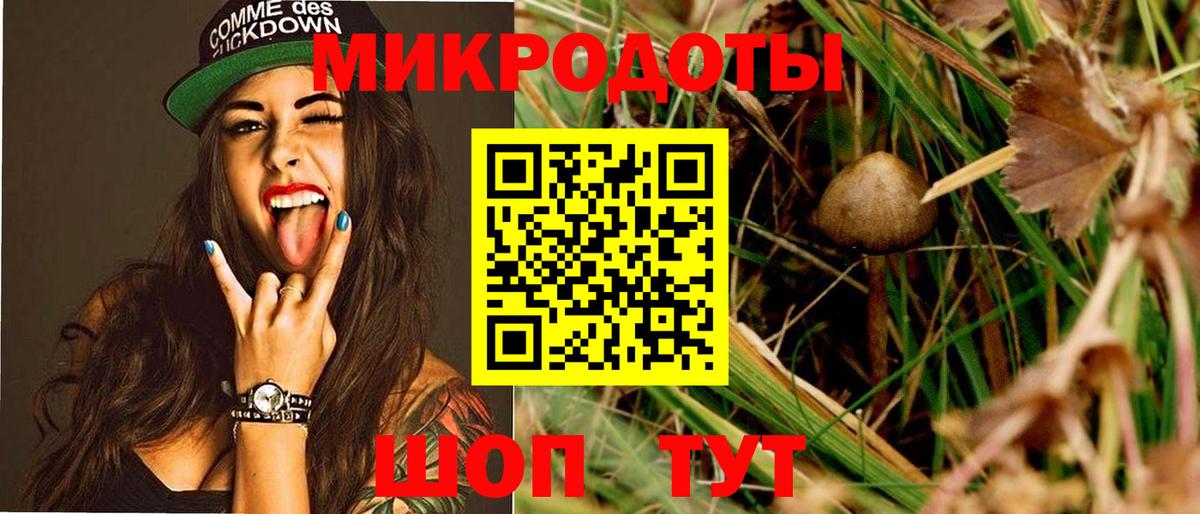 Чита  Псилоцибиновые грибы мицелий  Вход с VPN 