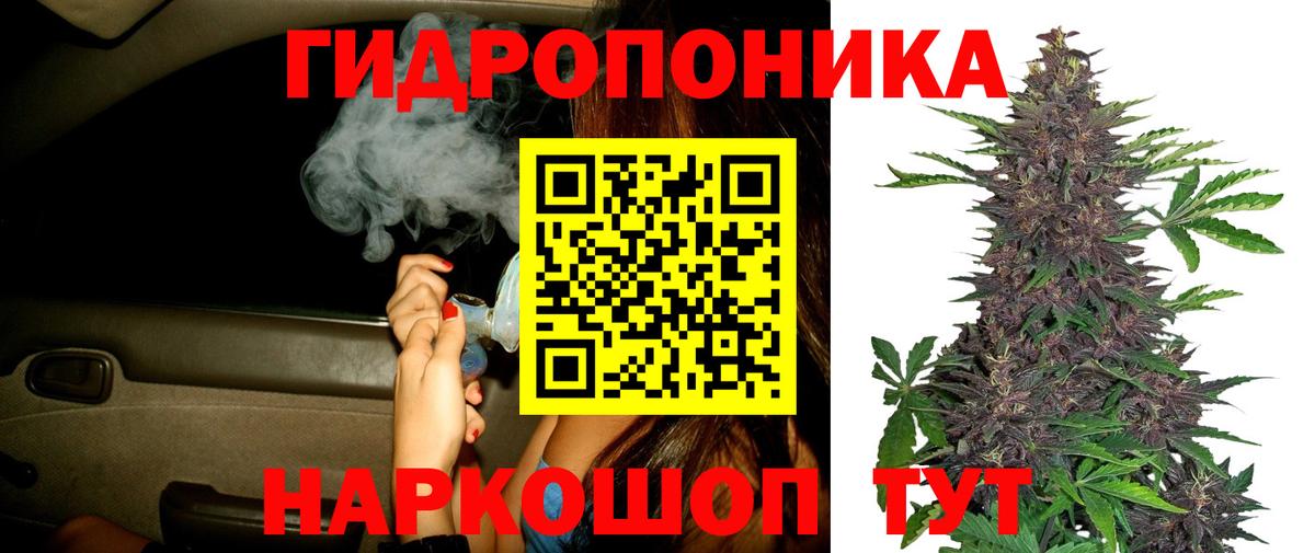 Канабис SATIVA & INDICA Чита